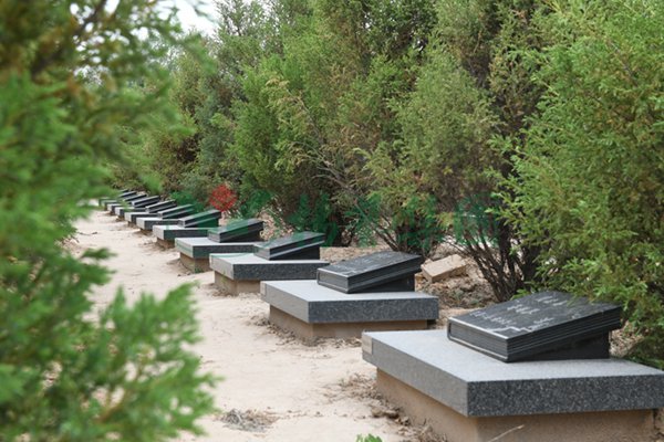 人生就是搏(中国集团)官方网站