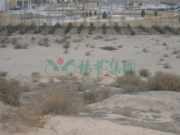 1-220209163FV57 人生就是搏(中国集团)官方网站