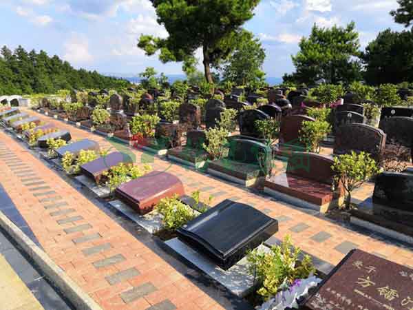 人生就是搏(中国集团)官方网站