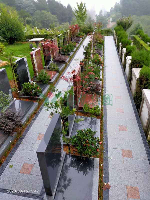 人生就是搏(中国集团)官方网站