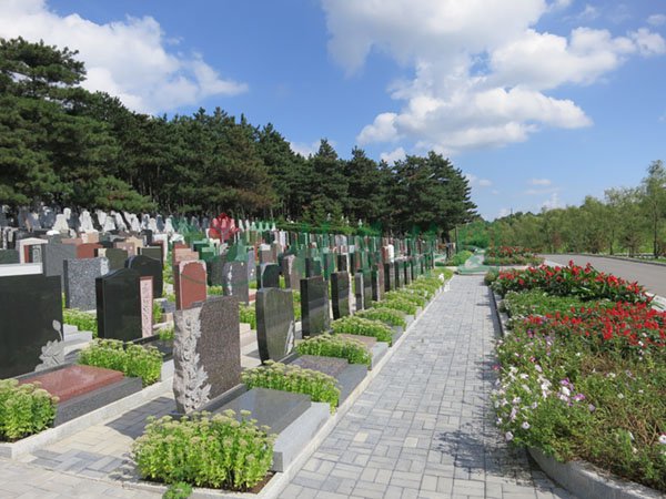 人生就是搏(中国集团)官方网站