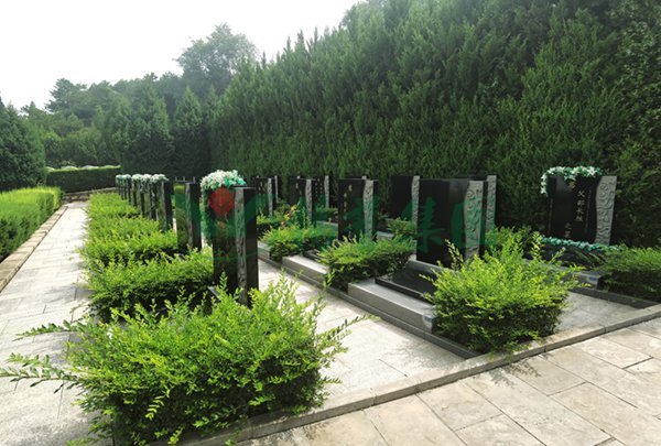 人生就是搏(中国集团)官方网站