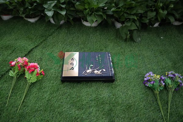 人生就是搏(中国集团)官方网站