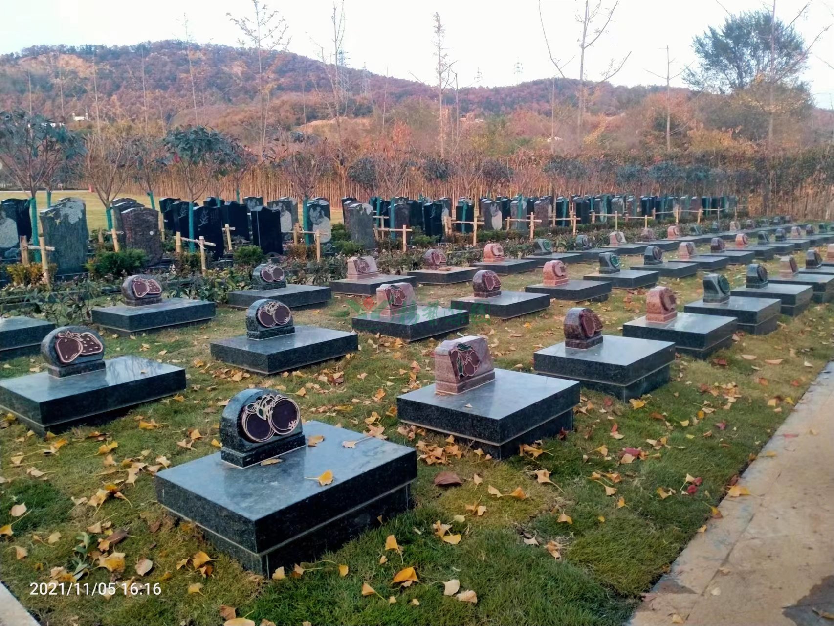 人生就是搏(中国集团)官方网站