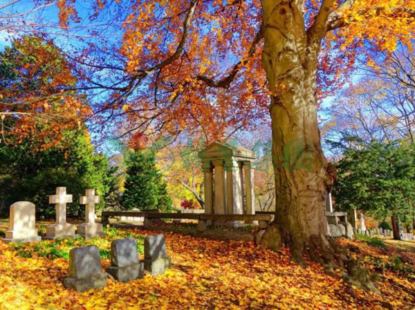 人生就是搏(中国集团)官方网站