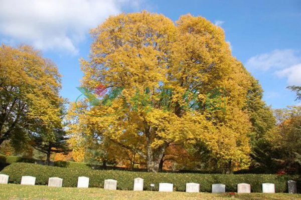 人生就是搏(中国集团)官方网站