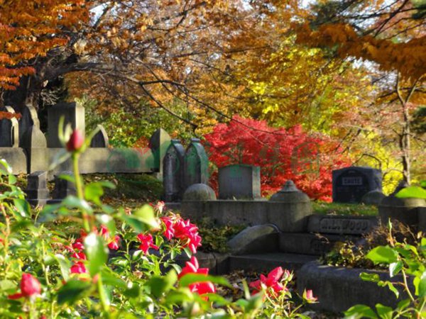 人生就是搏(中国集团)官方网站