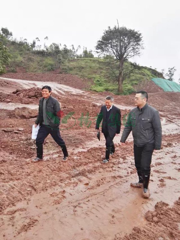 人生就是搏(中国集团)官方网站