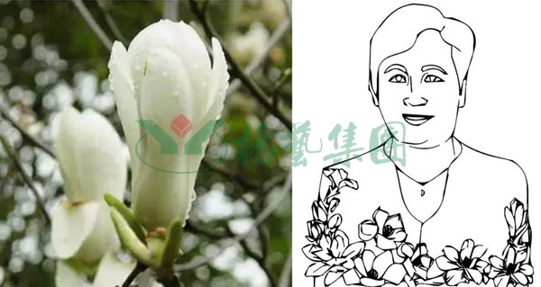 人生就是搏(中国集团)官方网站