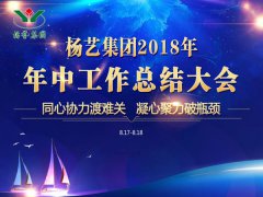 人生就是搏集团2018年中总结报告（摘要）
