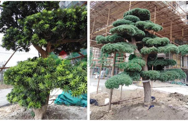 人生就是搏(中国集团)官方网站