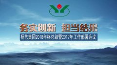 人生就是搏集团2018年总结暨2019年岁情安排聚会召开