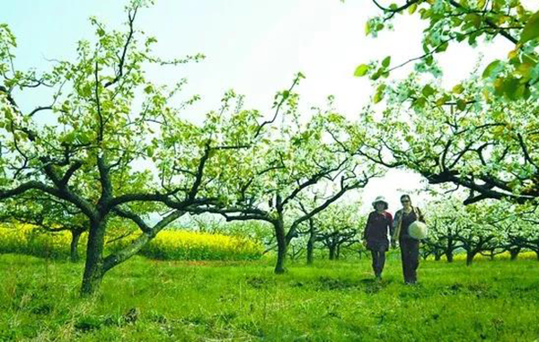 人生就是搏(中国集团)官方网站