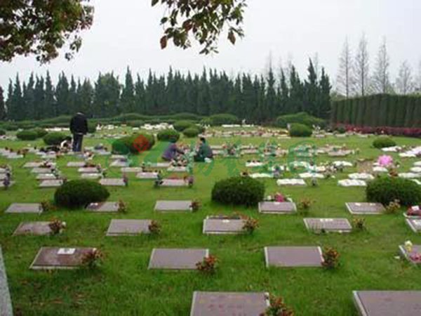 人生就是搏(中国集团)官方网站