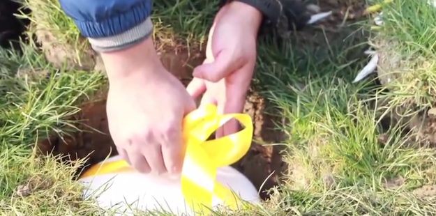 人生就是搏(中国集团)官方网站