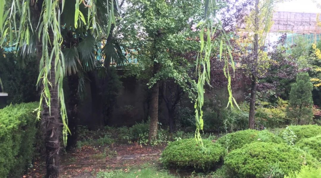 人生就是搏(中国集团)官方网站