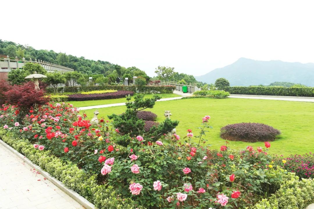 人生就是搏(中国集团)官方网站