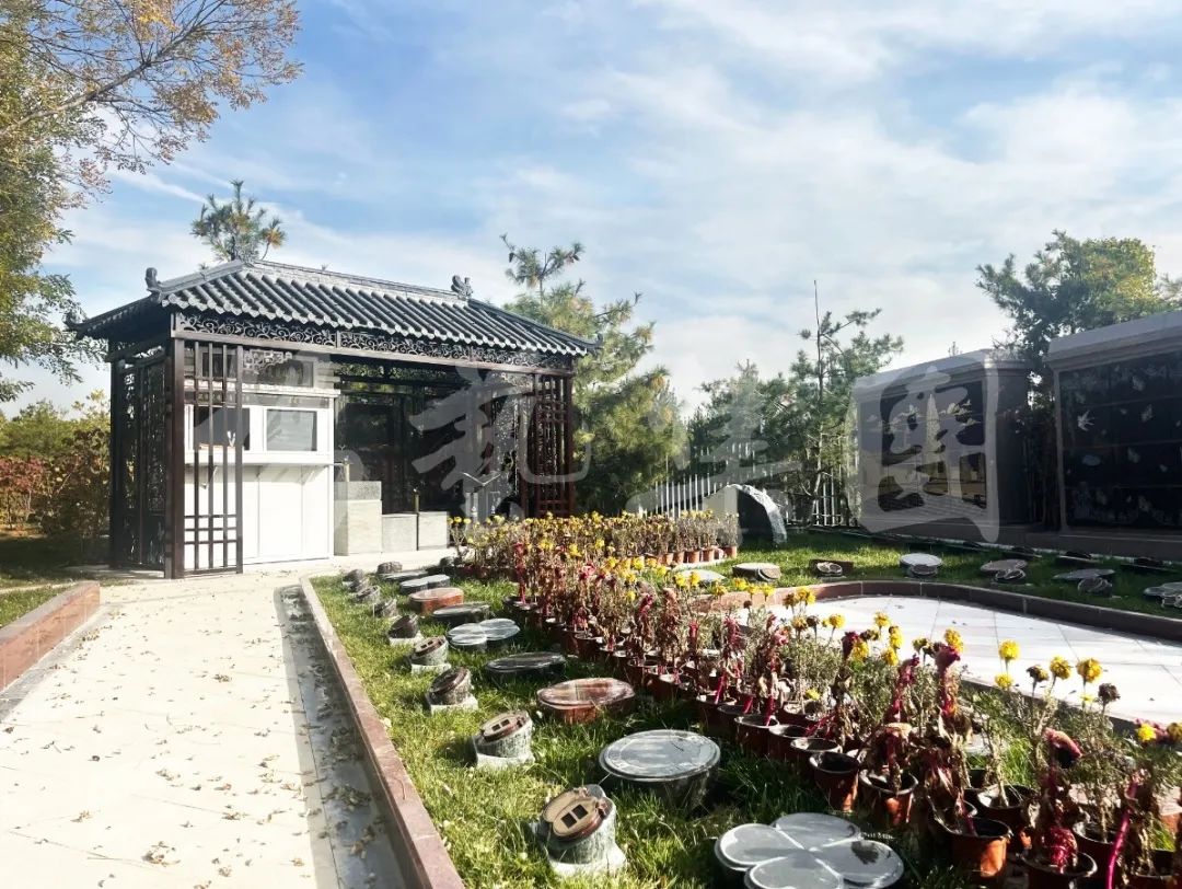 人生就是搏(中国集团)官方网站