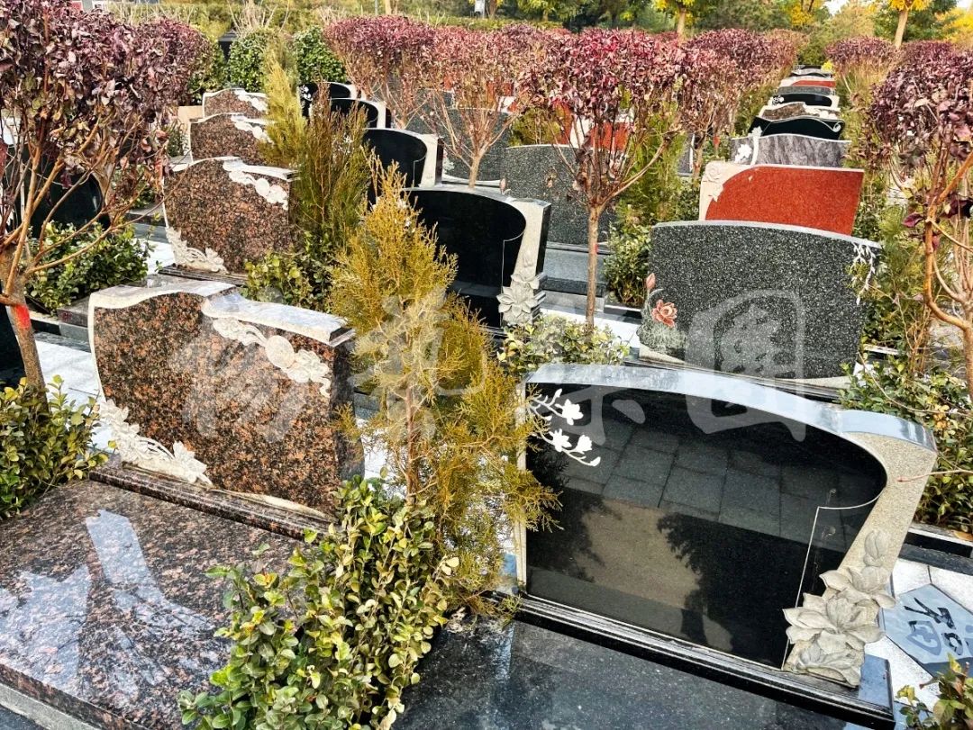 人生就是搏(中国集团)官方网站