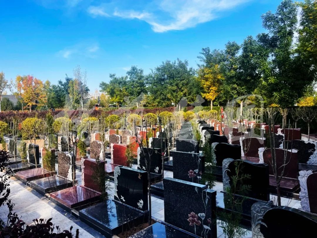 人生就是搏(中国集团)官方网站