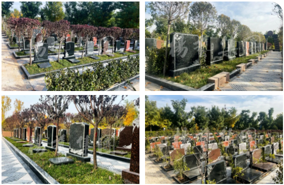 人生就是搏(中国集团)官方网站