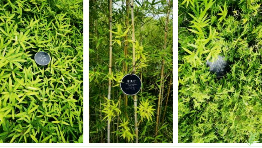 人生就是搏(中国集团)官方网站