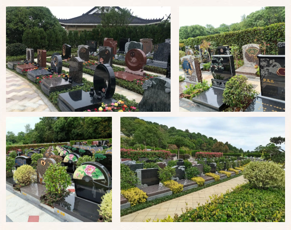 人生就是搏(中国集团)官方网站