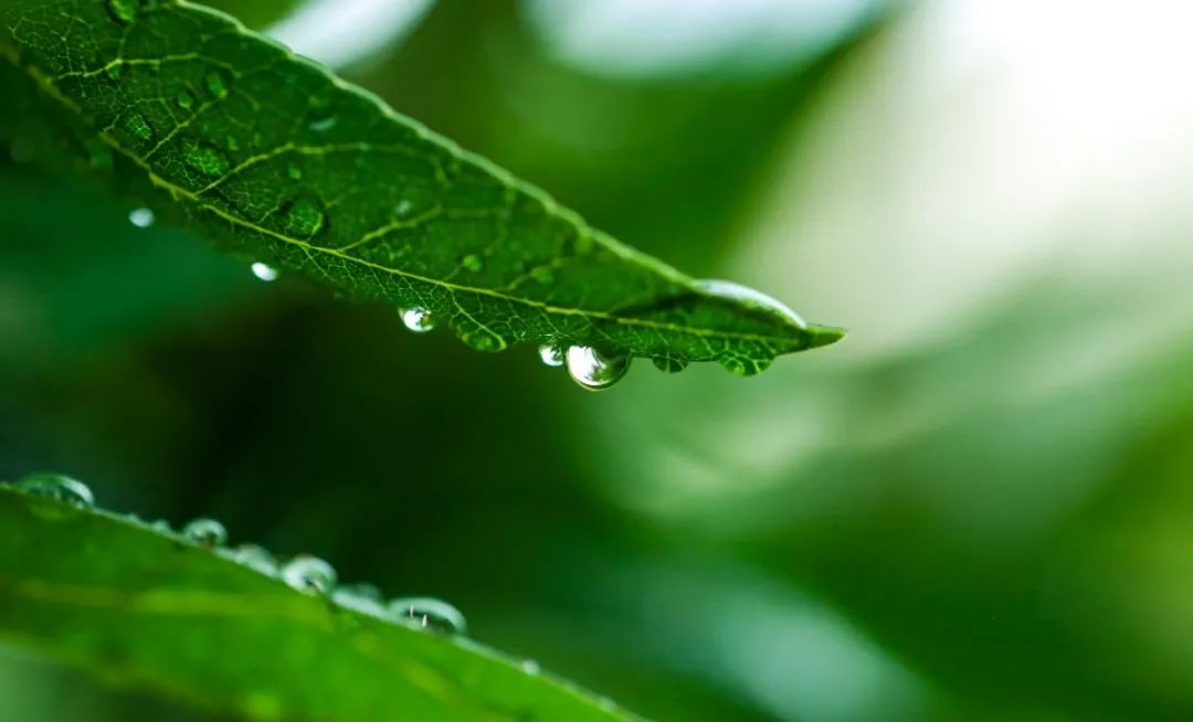 人生就是搏(中国集团)官方网站