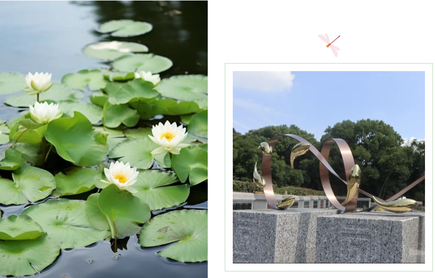 人生就是搏(中国集团)官方网站