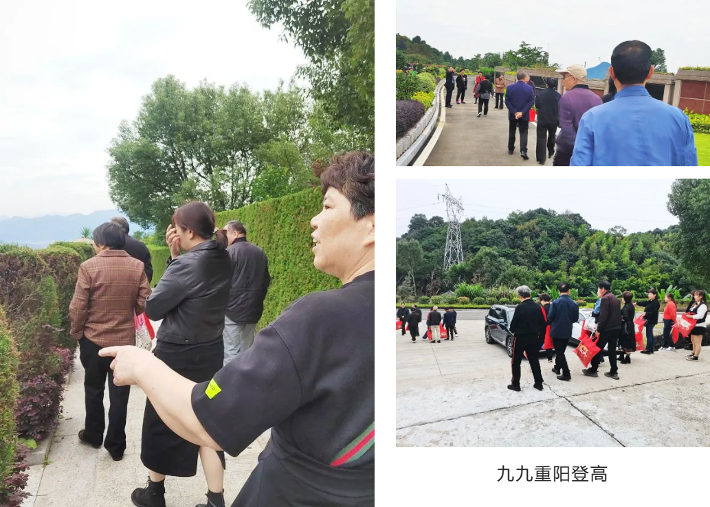 人生就是搏(中国集团)官方网站