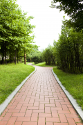 人生就是搏道板砖为您打造清静宜人的步行情形