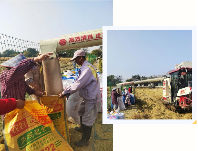 人生就是搏(中国集团)官方网站