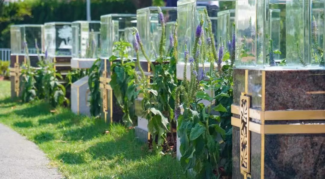 人生就是搏(中国集团)官方网站