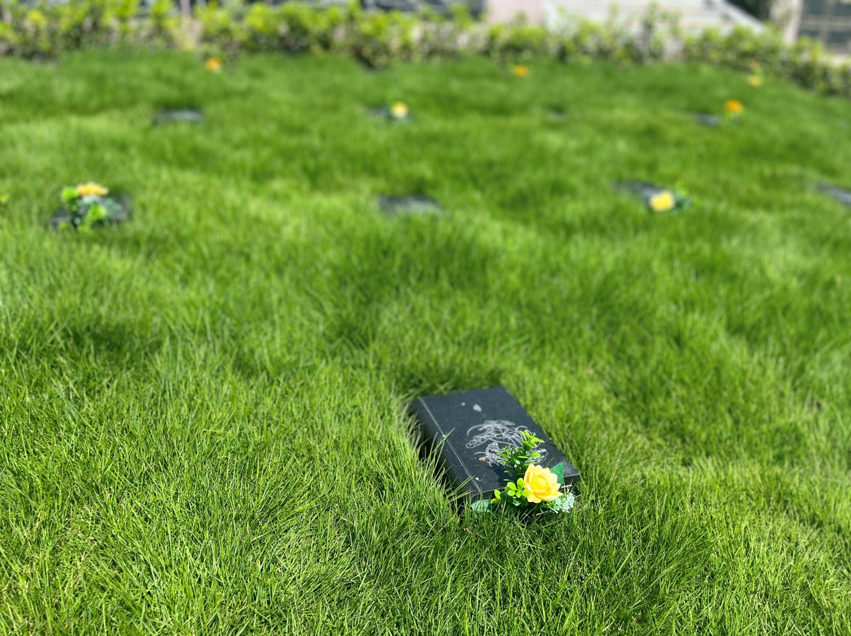 人生就是搏(中国集团)官方网站