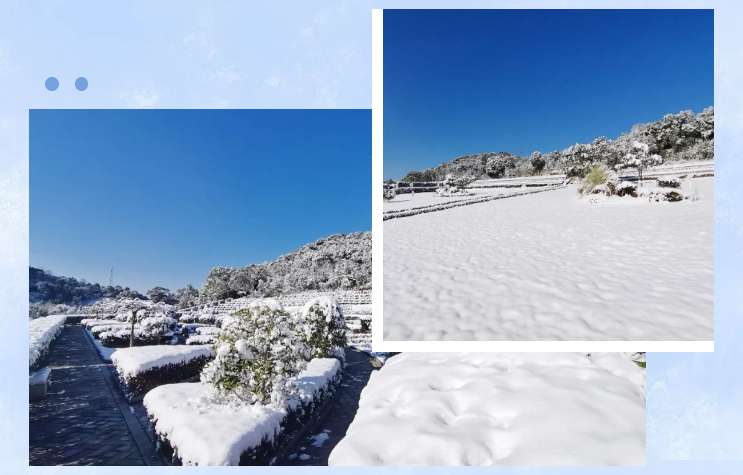 人生就是搏(中国集团)官方网站