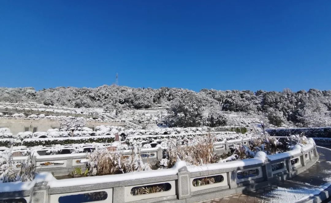 人生就是搏(中国集团)官方网站