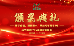 2024年人生就是搏集团迎新春年会暨颁奖仪式盛放肆行