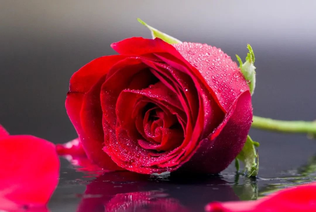 女神节 | 致敬“她”实力，共筑优美未来