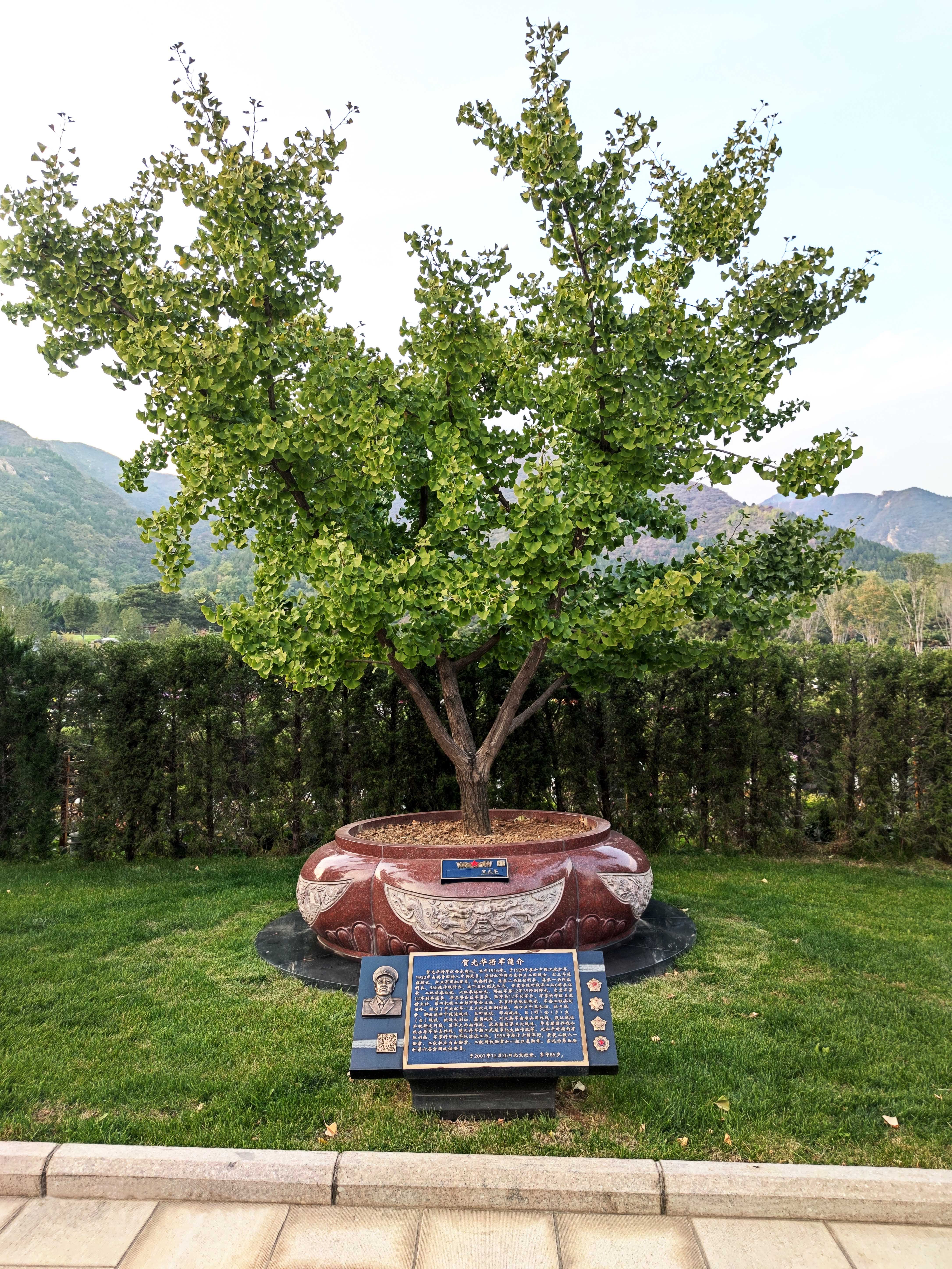 人生就是搏(中国集团)官方网站