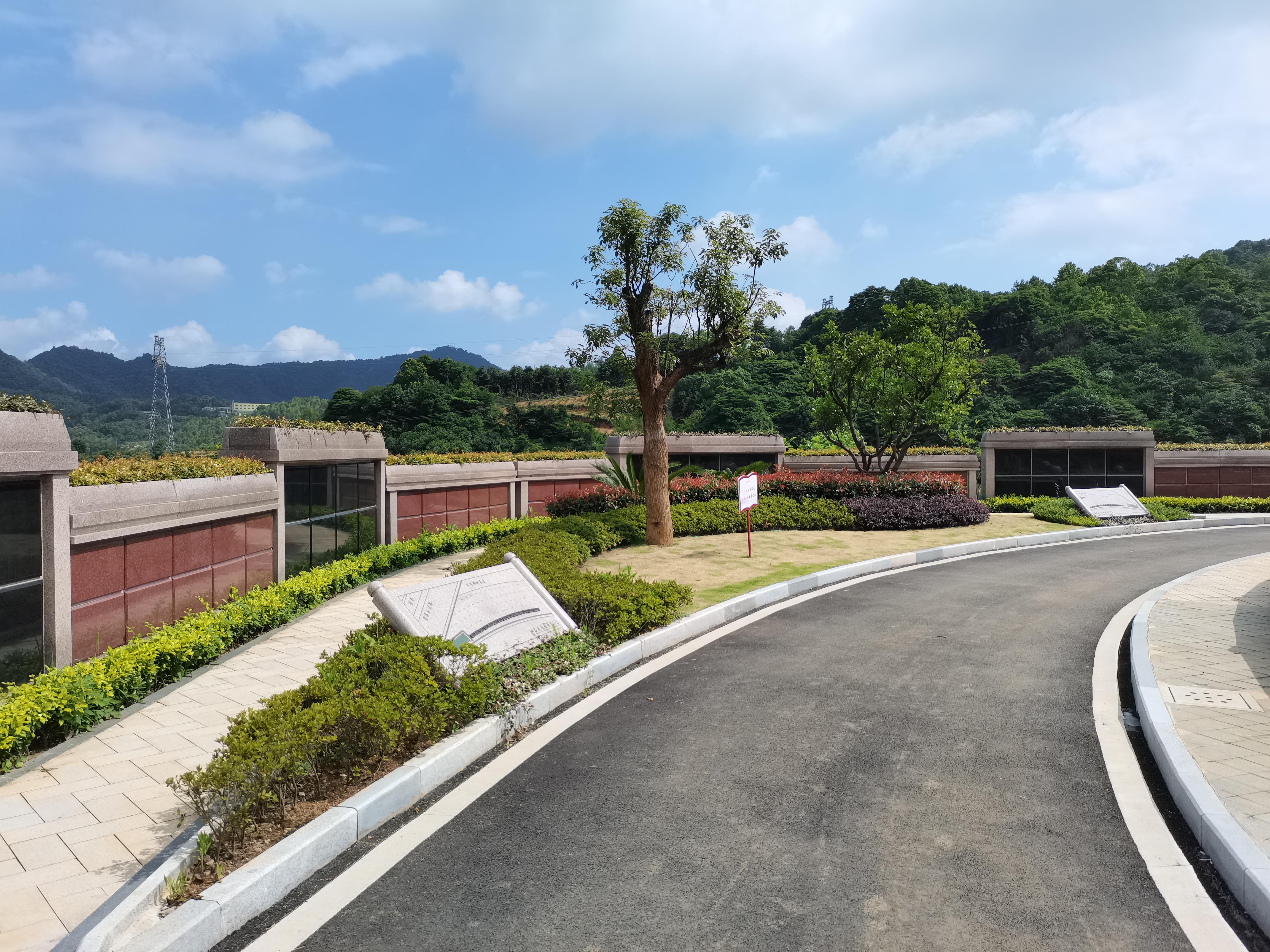 海葬和树葬哪个好？两种生态葬祭方式的选择与意义