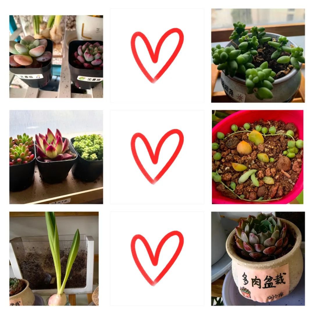 人生就是搏(中国集团)官方网站