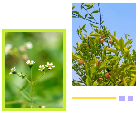 人生就是搏(中国集团)官方网站