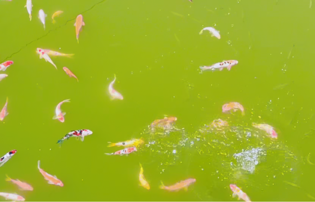 人生就是搏(中国集团)官方网站