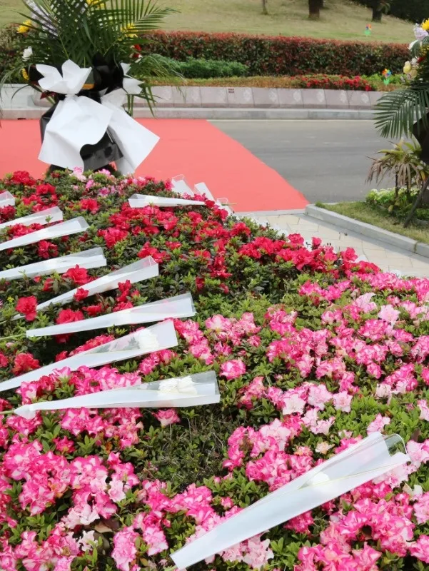 人生就是搏(中国集团)官方网站