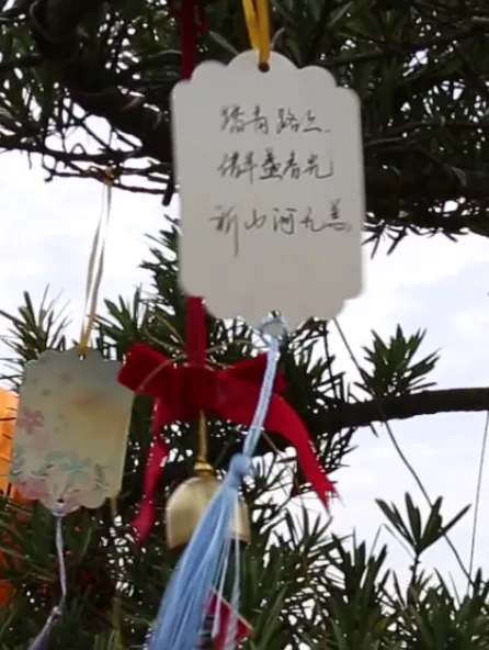 人生就是搏(中国集团)官方网站