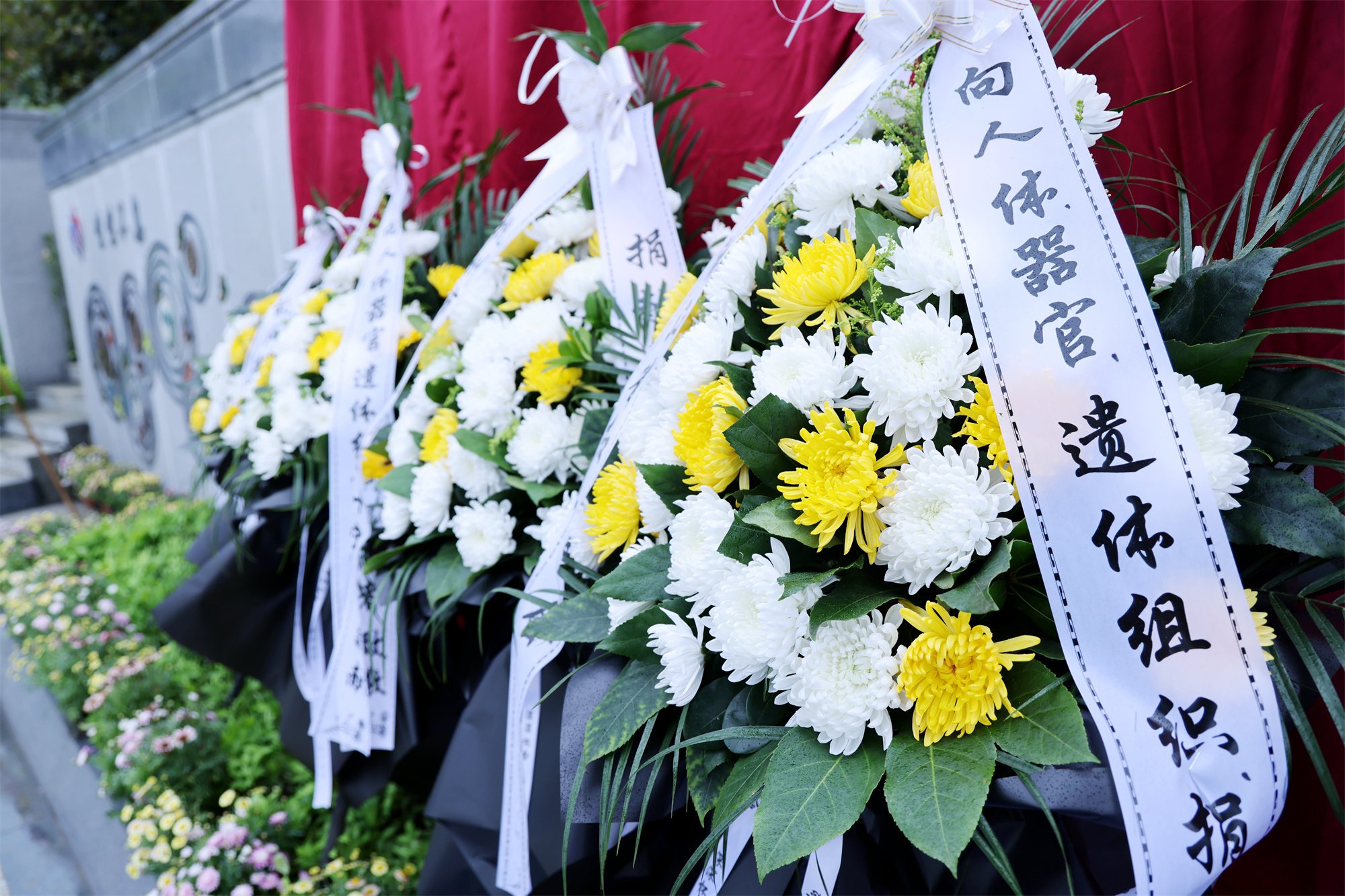 人生就是搏(中国集团)官方网站