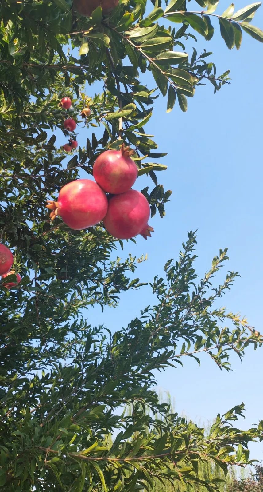 人生就是搏(中国集团)官方网站