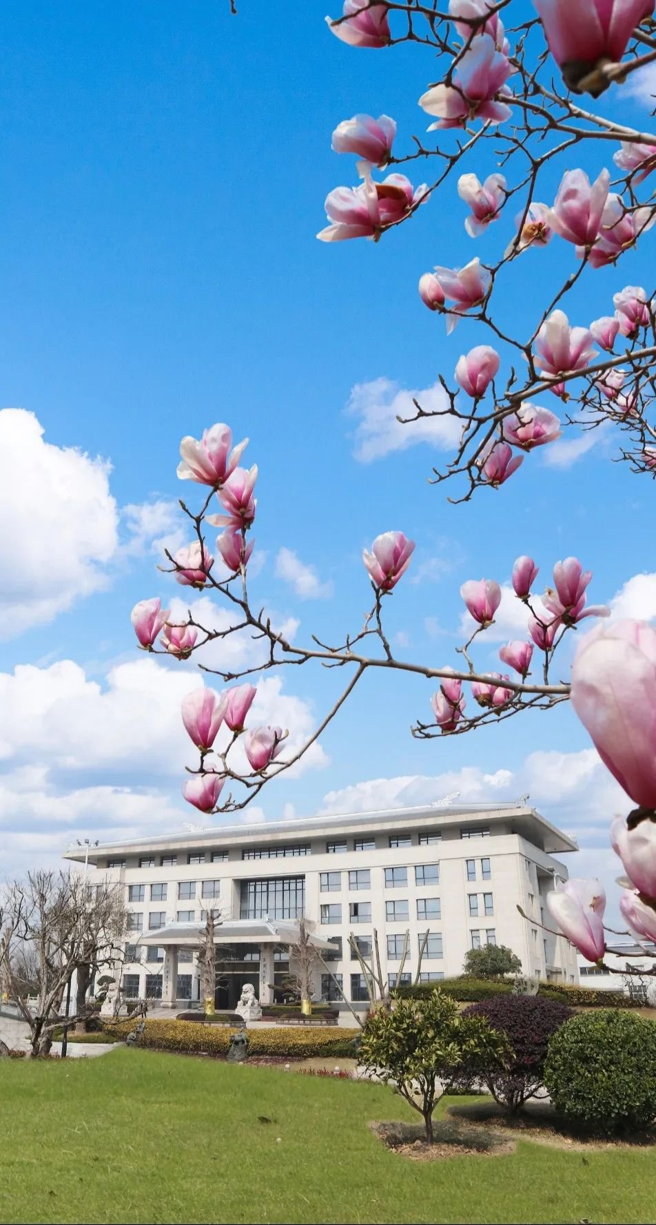人生就是搏(中国集团)官方网站