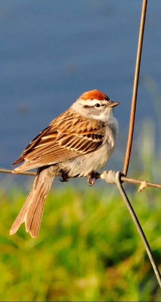 人生就是搏(中国集团)官方网站