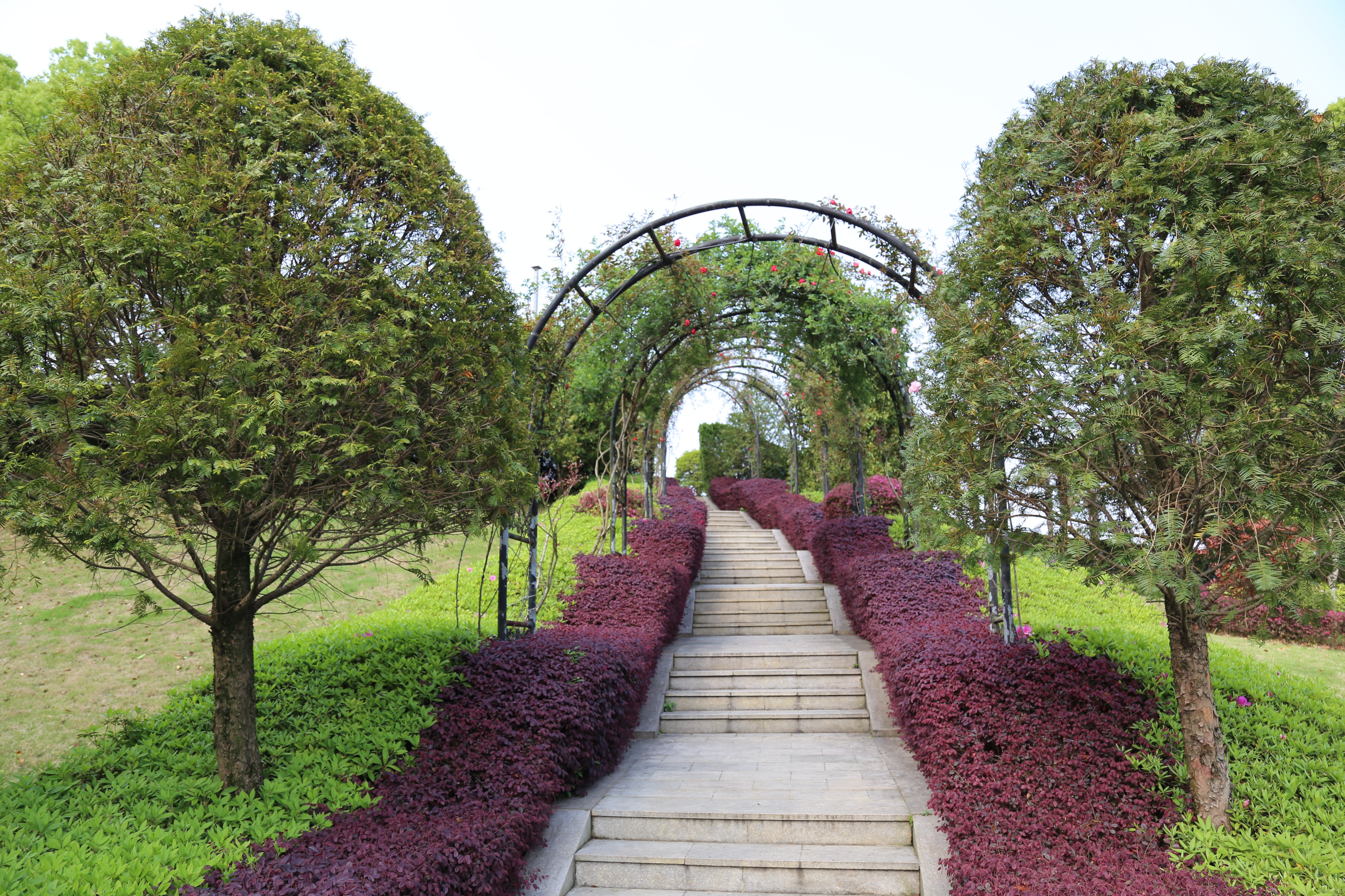 人生就是搏(中国集团)官方网站